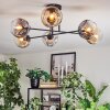 Ripoll Plafondlamp, Kogellampje Amber, Duidelijk, Rookkleurig, 6-lichts
