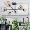 Ripoll Plafondlamp, Kogellampje Amber, Duidelijk, Rookkleurig, 6-lichts
