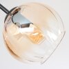 Koyoto Plafondlamp, Kogellampje Amber, Duidelijk, Rookkleurig, 3-lichts
