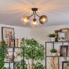 Koyoto Plafondlamp, Kogellampje Amber, Duidelijk, Rookkleurig, 3-lichts
