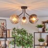 Koyoto Plafondlamp, Kogellampje Amber, Duidelijk, Rookkleurig, 3-lichts