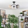 Koyoto Plafondlamp, Kogellampje Amber, Duidelijk, Rookkleurig, 3-lichts