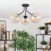 Koyoto Plafondlamp, Kogellampje Amber, Duidelijk, 3-lichts
