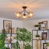 Koyoto Plafondlamp, Kogellampje Amber, Duidelijk, 3-lichts