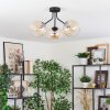 Koyoto Plafondlamp, Kogellampje Amber, Duidelijk, 3-lichts