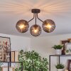 Koyoto Plafondlamp, Kogellampje Rookkleurig, 3-lichts