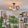 Koyoto Plafondlamp, Kogellampje Amber, Duidelijk, Rookkleurig, 3-lichts