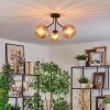 Koyoto Plafondlamp, Kogellampje Amber, 3-lichts