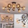 Koyoto Plafondlamp, Kogellampje 81 cm Amber, Duidelijk, Rookkleurig, 10-lichts