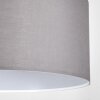 Pilaru Hanglamp, Hanglamp Chroom, Nikkel mat, 1-licht