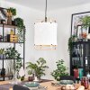 Sagan Hanglamp, Hanglamp Zwart, 1-licht