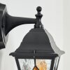Naofe Wandlamp voor buiten, Wandlamp Zwart, 1-licht