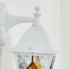 Naofe Wandlamp voor buiten, Wandlamp Wit, 1-licht