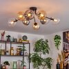 Gastor Plafondlamp, Kogellampje Amber, Duidelijk, Rookkleurig, 8-lichts