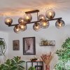 Koyoto Plafondlamp, Kogellampje Duidelijk, Rookkleurig, 10-lichts