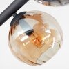 Koyoto Plafondlamp, Kogellampje Amber, Duidelijk, Rookkleurig, 10-lichts