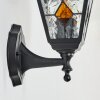 Naofe Wandlamp voor buiten, Wandlamp Zwart, 1-licht