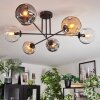 Ripoll Plafondlamp, Kogellampje Amber, Duidelijk, Rookkleurig, 6-lichts