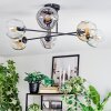 Ripoll Plafondlamp, Kogellampje Amber, Duidelijk, Rookkleurig, 6-lichts