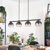 Koyoto Hanglamp, Kogellampje, Hanglamp Duidelijk, Rookkleurig, 4-lichts