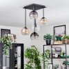 Koyoto Plafondlamp, Kogellampje Amber, Duidelijk, Rookkleurig, 5-lichts