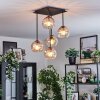 Koyoto Plafondlamp, Kogellampje Amber, Duidelijk, 5-lichts
