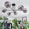 Ripoll Plafondlamp, Kogellampje Rookkleurig, 6-lichts