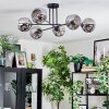 Ripoll Plafondlamp, Kogellampje Rookkleurig, 6-lichts