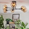 Ripoll Plafondlamp, Kogellampje Amber, Duidelijk, 6-lichts
