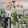 Ripoll Plafondlamp, Kogellampje Amber, Duidelijk, 6-lichts