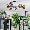 Ripoll Plafondlamp, Kogellampje Chroom, Goud, Duidelijk, Koperkleurig, Rookkleurig, 6-lichts