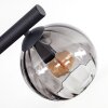 Koyoto Plafondlamp, Kogellampje Rookkleurig, 10-lichts