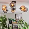 Ripoll Plafondlamp, Kogellampje Amber, Rookkleurig, 6-lichts