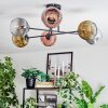Ripoll Plafondlamp, Kogellampje Goud, Duidelijk, Koperkleurig, Rookkleurig, 6-lichts