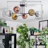 Ripoll Plafondlamp, Kogellampje Goud, Duidelijk, Koperkleurig, Rookkleurig, 6-lichts
