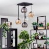 Koyoto Plafondlamp, Kogellampje Amber, Duidelijk, Rookkleurig, 5-lichts