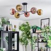 Ripoll Plafondlamp, Kogellampje Goud, Duidelijk, Koperkleurig, 6-lichts