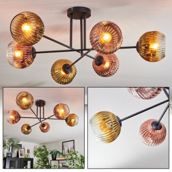 Ripoll Plafondlamp, Kogellampje Goud, Duidelijk, Koperkleurig, 6-lichts