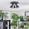 Farel Plafondlamp, Plafondspot Chroom, Zwart, 3-lichts