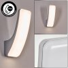 Gilan Wandlamp voor buiten, Wandlamp LED Zilver, 1-licht