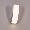 Gilan Wandlamp voor buiten, Wandlamp LED Zilver, 1-licht