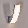 Gilan Wandlamp voor buiten, Wandlamp LED Zilver, 1-licht