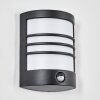 Heran Wandlamp voor buiten, Wandlamp LED Zwart, 1-licht, Bewegingsmelder
