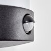 Heran Wandlamp voor buiten, Wandlamp LED Zwart, 1-licht, Bewegingsmelder