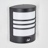 Heran Wandlamp voor buiten, Wandlamp LED Zwart, 1-licht, Bewegingsmelder