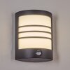 Heran Wandlamp voor buiten, Wandlamp LED Zwart, 1-licht, Bewegingsmelder