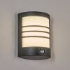 Heran Wandlamp voor buiten, Wandlamp LED Zwart, 1-licht, Bewegingsmelder