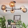 Ripoll Plafondlamp, Kogellampje Amber, Duidelijk, Rookkleurig, 6-lichts