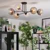 Ripoll Plafondlamp, Kogellampje Amber, Duidelijk, Rookkleurig, 6-lichts