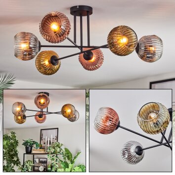 Ripoll Plafondlamp, Kogellampje Chroom, Goud, Duidelijk, Koperkleurig, Rookkleurig, 6-lichts